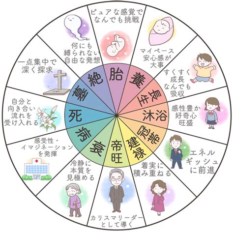 時 柱|四柱推命の十二運とは？年柱・月柱・時柱とあわせて。